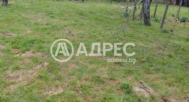 Къща/Вила, Камилски дол, 676082, Снимка 3