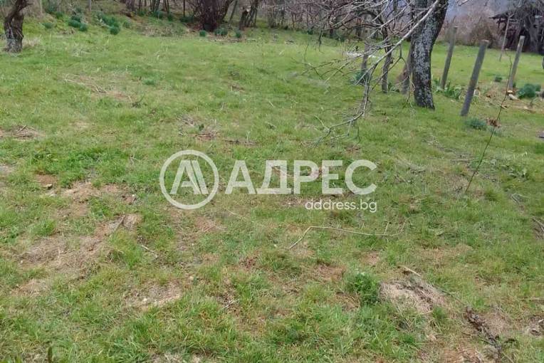 Къща/Вила, Камилски дол, 676082, Снимка 3