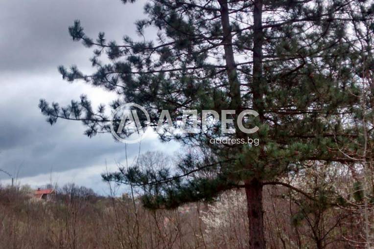 Парцел/Терен, Варна, м-ст Боровец - юг, 659084, Снимка 2