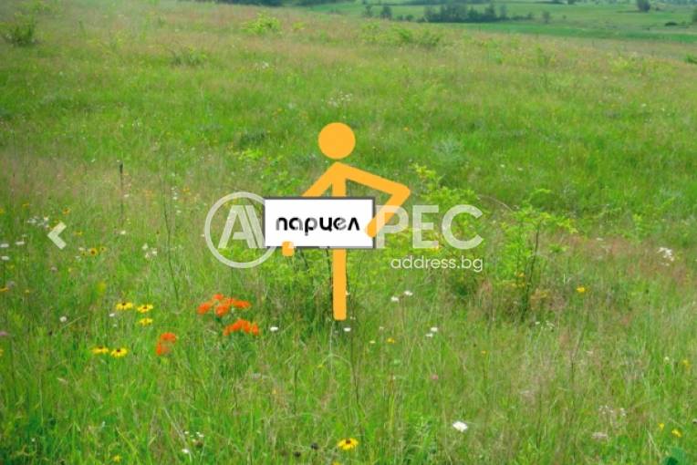 Парцел/Терен, Говедарци, 608094, Снимка 1