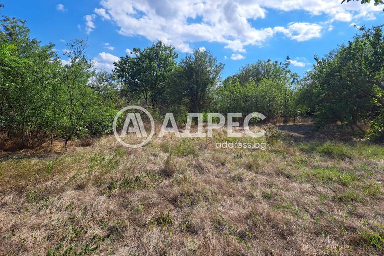 Къща/Вила, Ветрино, 672096, Снимка 7