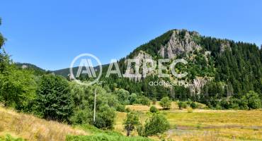 Парцел/Терен, Смолян, Смолян, 593098, Снимка 2