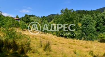 Парцел/Терен, Смолян, Смолян, 593098, Снимка 3