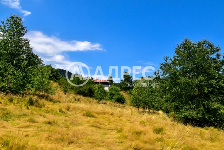 Парцел/Терен, Смолян, Смолян, 593098, Снимка 4