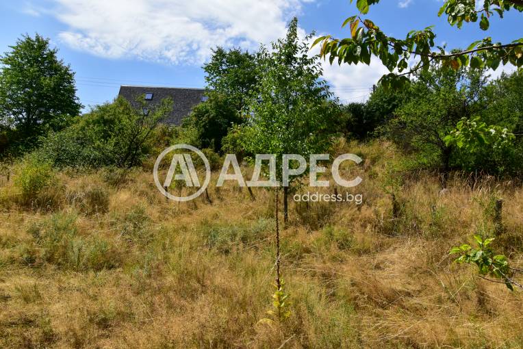 Парцел/Терен, Смолян, Смолян, 593098, Снимка 6