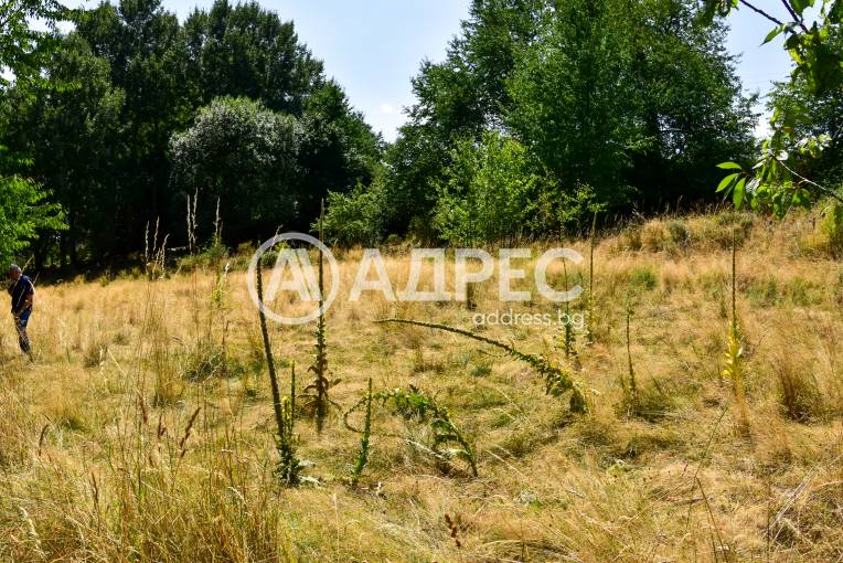 Парцел/Терен, Смолян, Смолян, 593098, Снимка 7