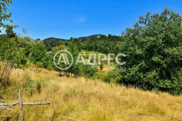 Парцел/Терен, Смолян, Смолян, 593098, Снимка 8