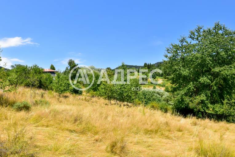 Парцел/Терен, Смолян, Смолян, 593098, Снимка 9