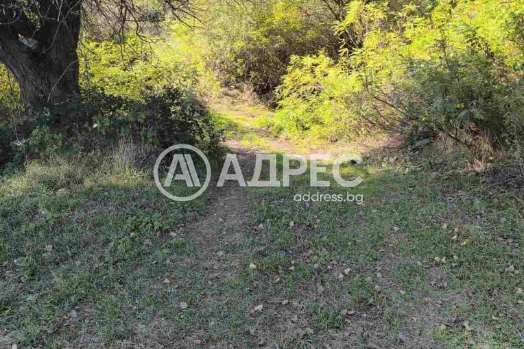 Земеделска земя, Симитли, 671107, Снимка 11