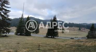 Земеделска земя, Соколовци, 678109, Снимка 4