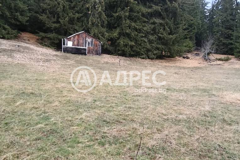 Земеделска земя, Соколовци, 678109, Снимка 3