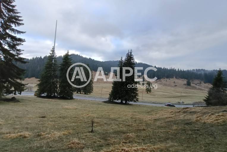 Земеделска земя, Соколовци, 678109, Снимка 4