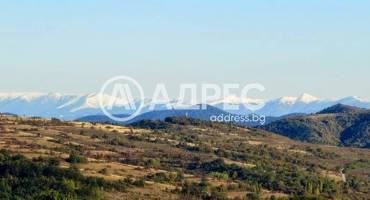 Хотел/Мотел, Типченица, 685114, Снимка 17