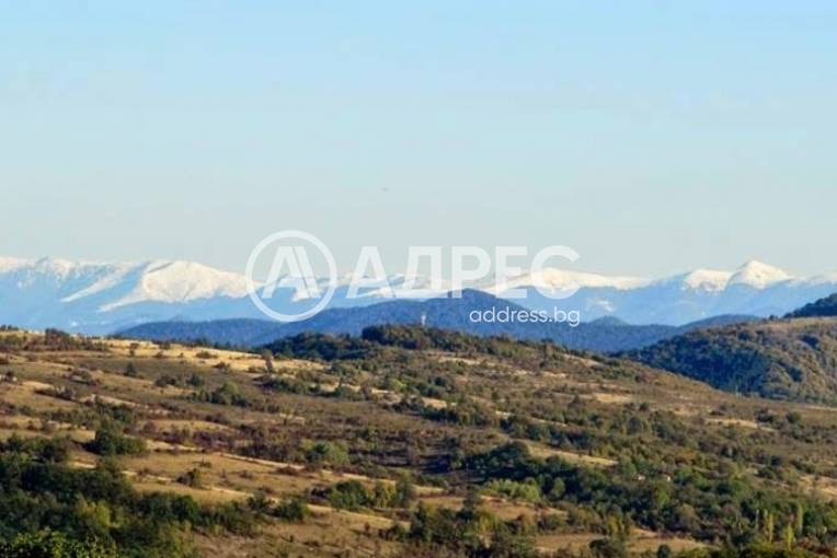 Хотел/Мотел, Типченица, 685114, Снимка 17