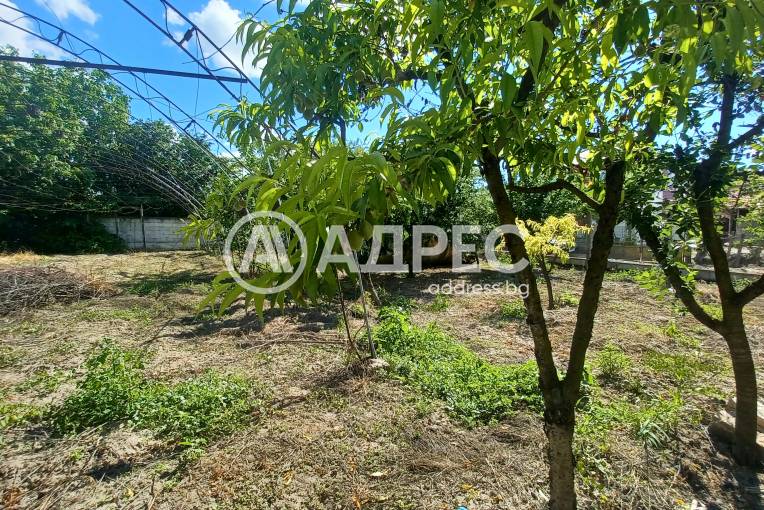 Къща/Вила, Старо Оряхово, 699114, Снимка 2