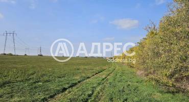 Парцел/Терен, Езерово, 636119, Снимка 7