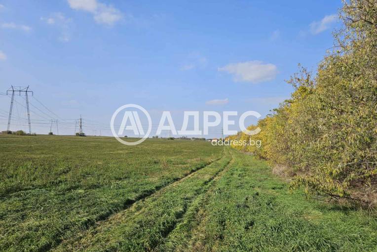 Парцел/Терен, Езерово, 636119, Снимка 7