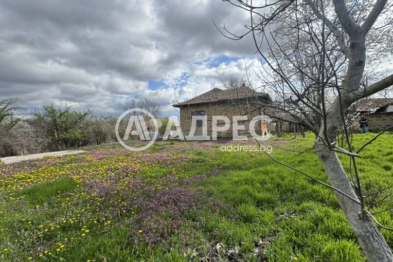 Къща/Вила, Паламарца, 691122, Снимка 1