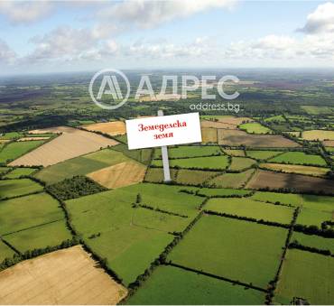 Земеделска земя, Веринско, 658126, Снимка 1
