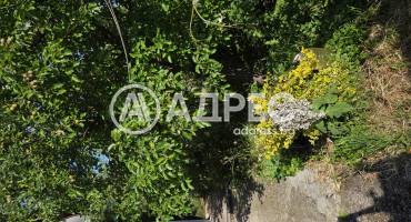 Къща/Вила, Чарган, 699131, Снимка 33