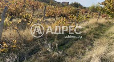 Земеделска земя, Брестник, 672133, Снимка 1