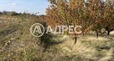 Земеделска земя, Брестник, 672133, Снимка 2