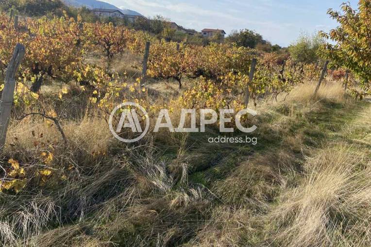 Земеделска земя, Брестник, 672133, Снимка 1