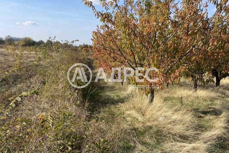 Земеделска земя, Брестник, 672133, Снимка 2