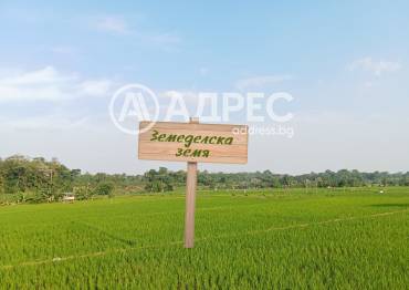 Парцел/Терен, Храбрино, 688133, Снимка 1