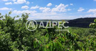 Къща/Вила, Дреново, 629134, Снимка 13