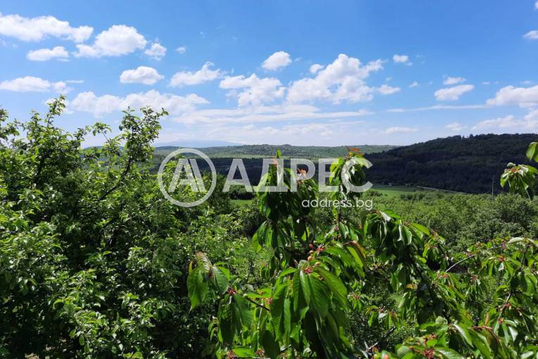 Къща/Вила, Дреново, 629134, Снимка 13