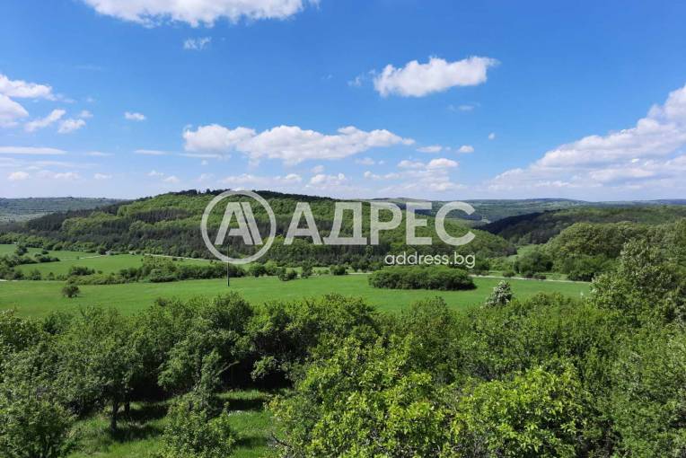 Къща/Вила, Дреново, 629134, Снимка 14