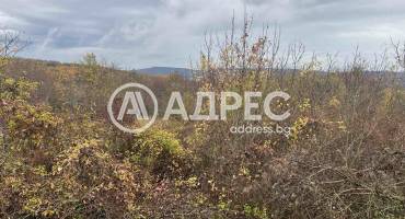 Парцел/Терен, Осеново, 676135, Снимка 7