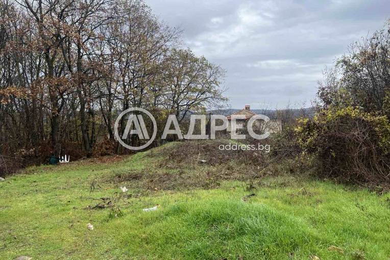 Парцел/Терен, Осеново, 676135, Снимка 1