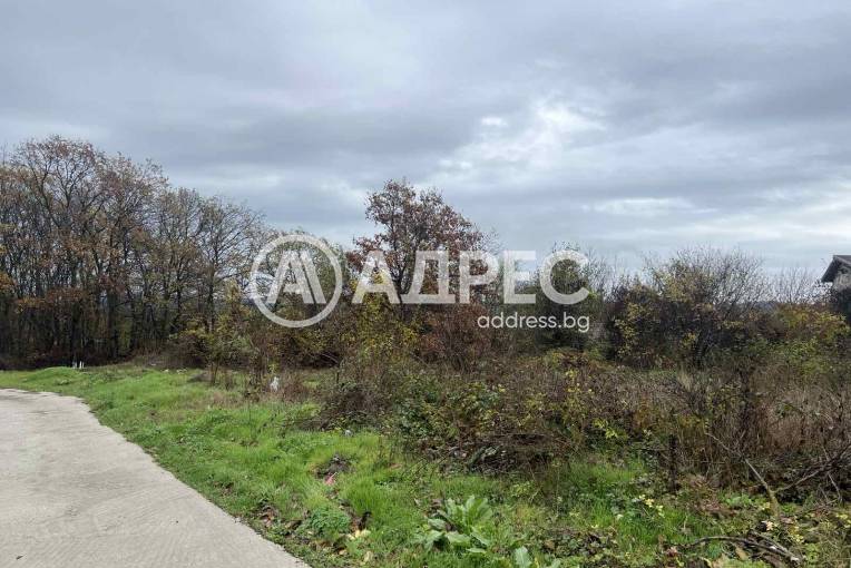 Парцел/Терен, Осеново, 676135, Снимка 3