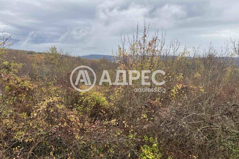 Парцел/Терен, Осеново, 676135, Снимка 7