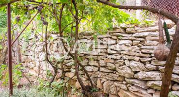 Къща/Вила, Типченица, 666140, Снимка 16