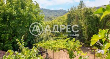 Къща/Вила, Типченица, 666140, Снимка 7