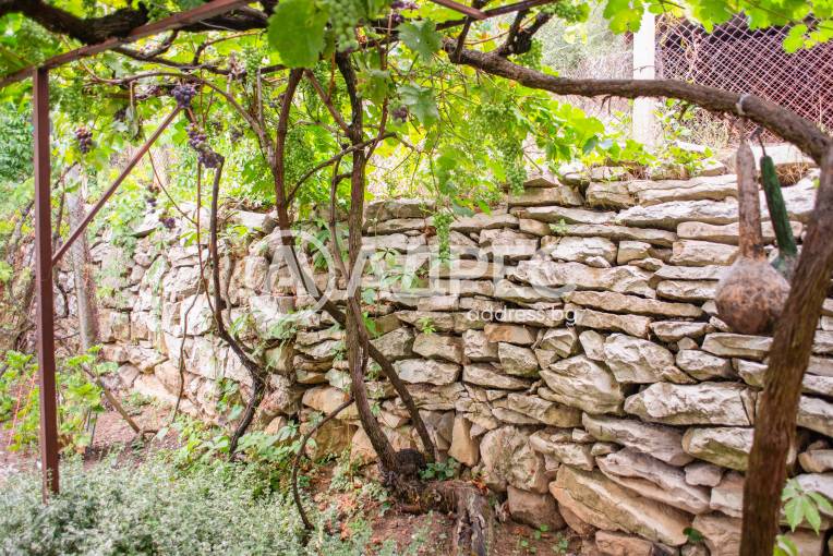 Къща/Вила, Типченица, 666140, Снимка 16