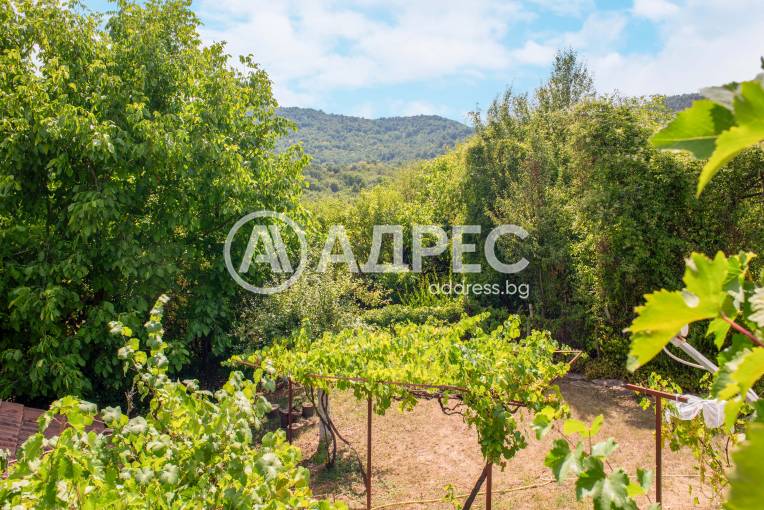 Къща/Вила, Типченица, 666140, Снимка 7