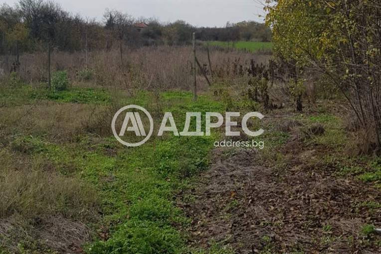 Къща/Вила, Савино, 676140, Снимка 2