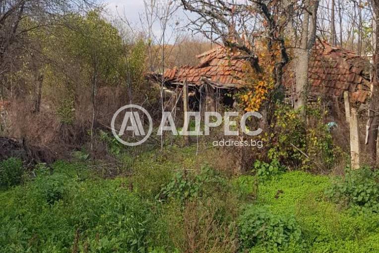 Къща/Вила, Савино, 676140, Снимка 5