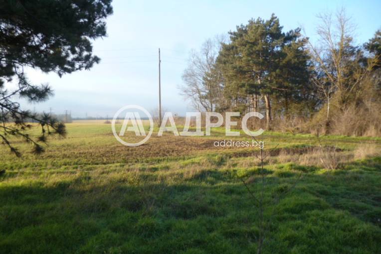 Парцел/Терен, Добрич, Дружба 1, 682146, Снимка 1