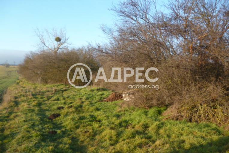 Парцел/Терен, Добрич, Дружба 1, 682146, Снимка 2