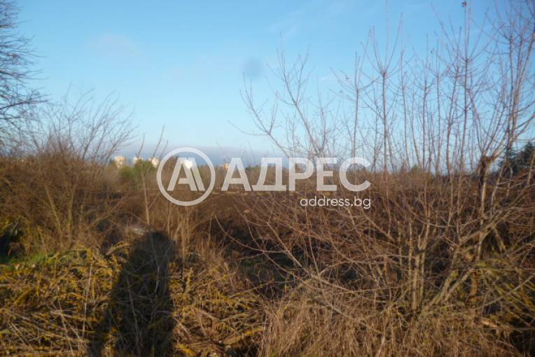 Парцел/Терен, Добрич, Дружба 1, 682146, Снимка 3