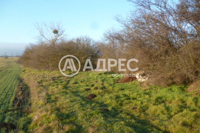 Парцел/Терен, Добрич, Дружба 1, 682146, Снимка 4