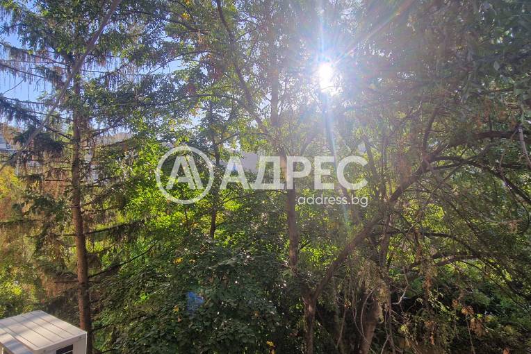 Тристаен апартамент, София, Борово, 669149, Снимка 5