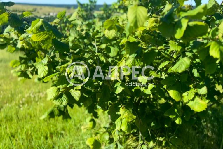 Парцел/Терен, Бенковски, 656155, Снимка 2