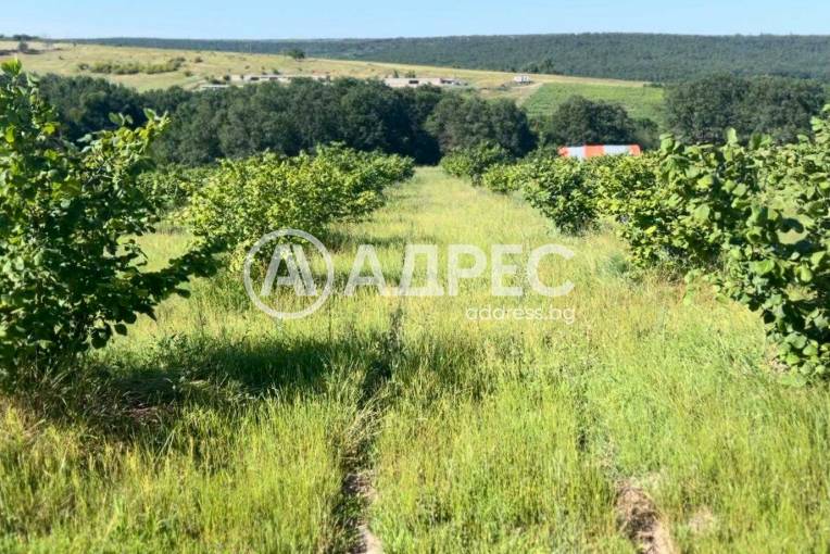 Парцел/Терен, Бенковски, 656155, Снимка 3