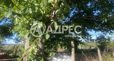 Парцел/Терен, Стамболийски, 666161, Снимка 3